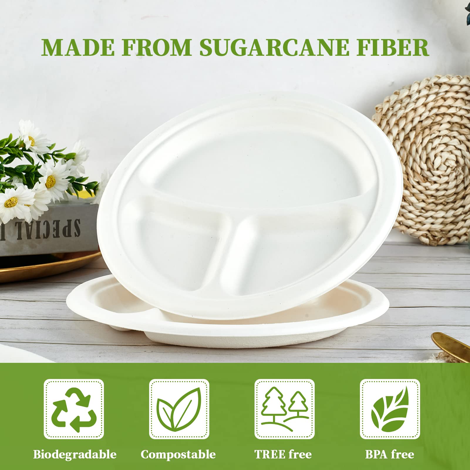 Z PLATES 10" 3 COMPARTMENT PLATES BIODEGRADABLE (8x24) elite