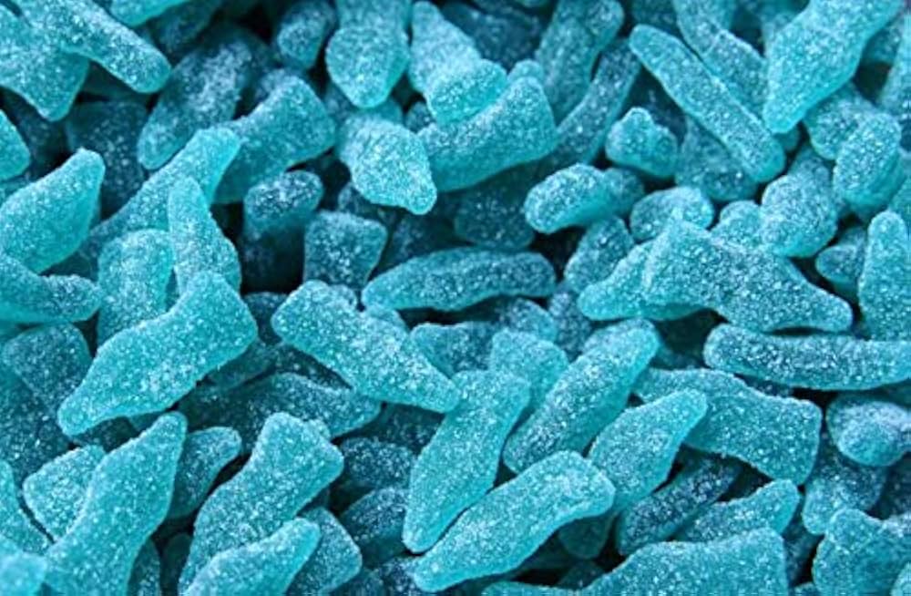 YUMMY GUMMY TUB FIZZY BLUE RASPBERRY BOTTLES 2P