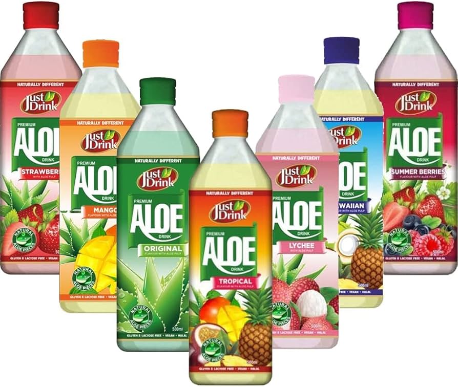 ALOE VERA BLUEBERRY (500ml x12)