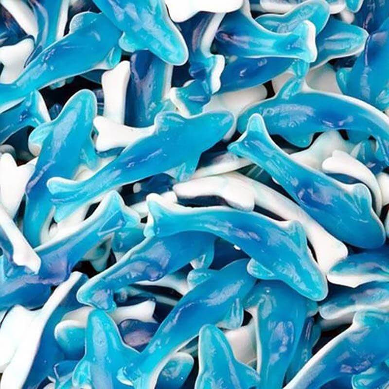 YUMMY GUMMY TUB BLUE DOLPHIN (1000g) 10P