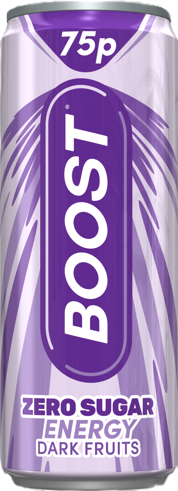 BOOST CAN DARK FRUITS ZERO (250mlx24) 75p