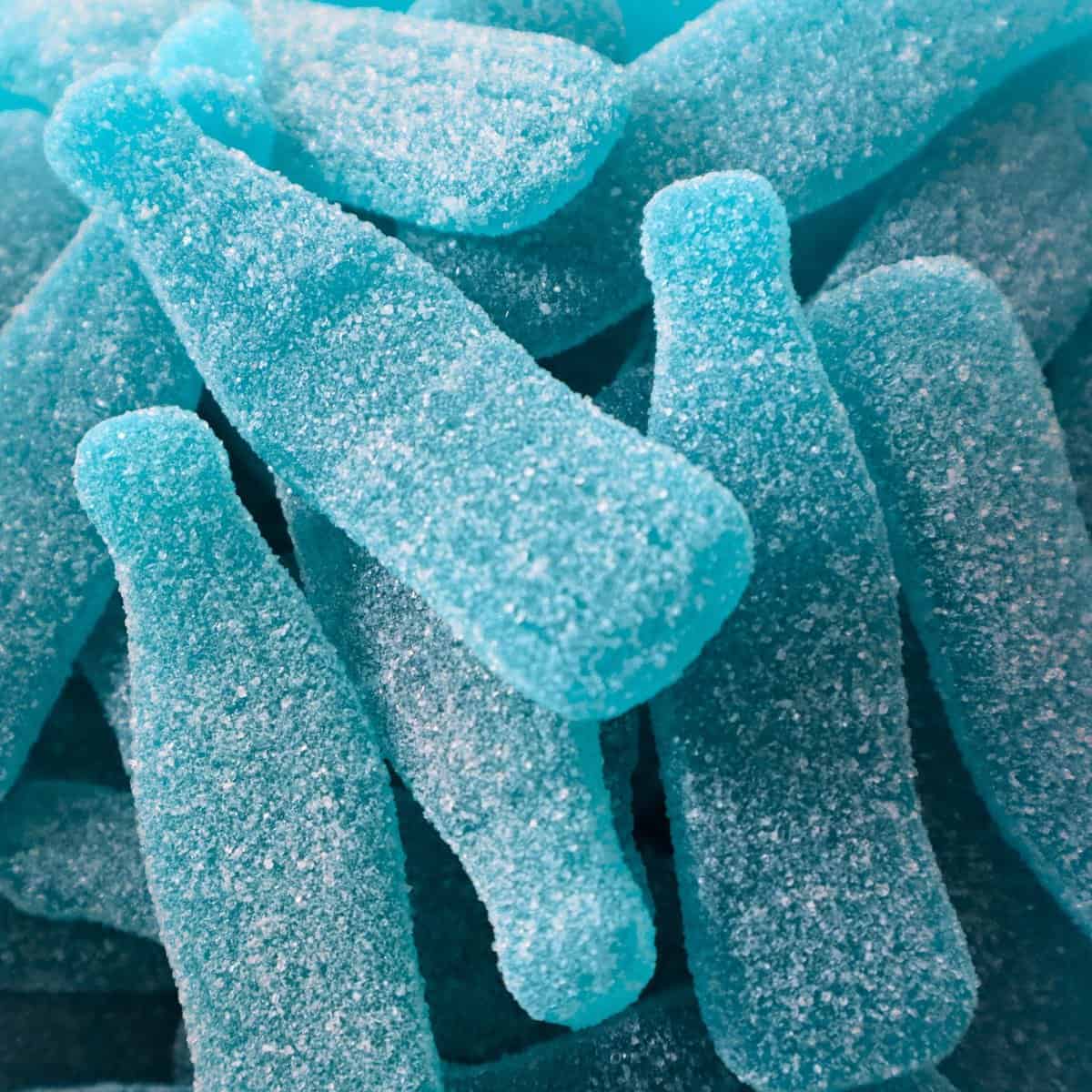 YUMMY GUMMY 1KG BAG FIZZY BLUE RASPBERRY BIG BOTTLES