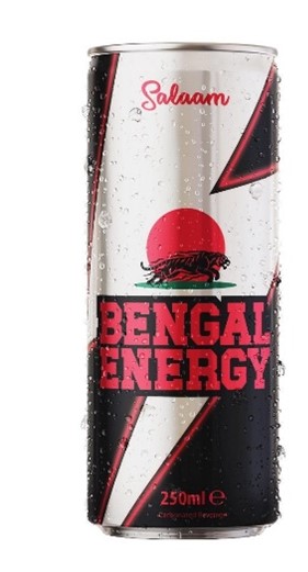 SALAAM BENGAL ENERGY (250mlx 24)