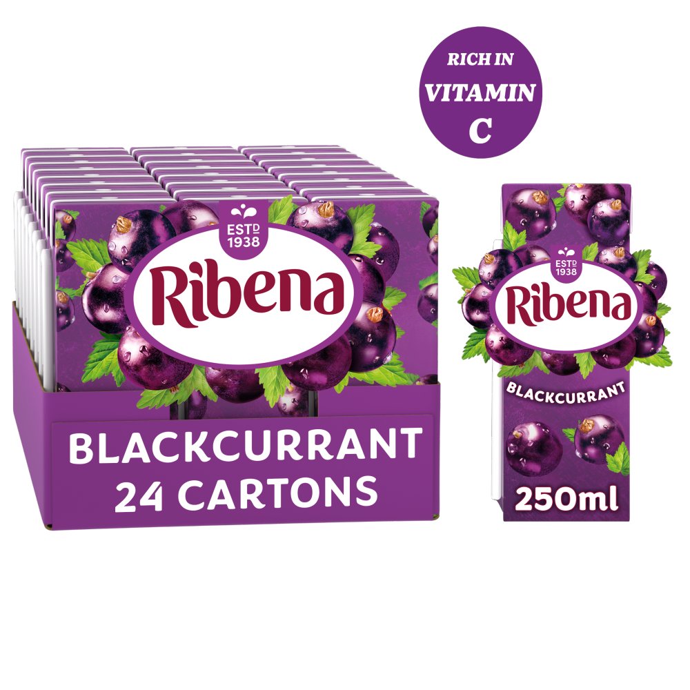 RIBENA BLACKCURRENT CTN (250ml x24) 75P